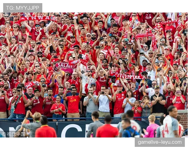 挪威队球迷“北欧雄狮”激情助阵,现场热情高涨尽显强大支持力 挪威队球迷“北欧雄狮”激情助阵,现场热情高涨尽显强大支持力