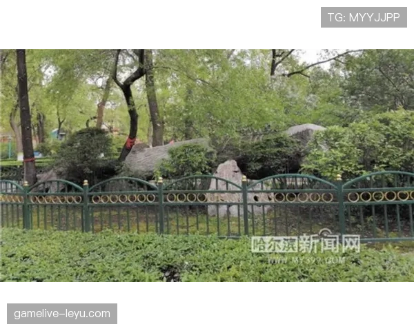 狂风骤雨难撼斗志！欧洲杯雨战经典瞬间见证钢铁意志