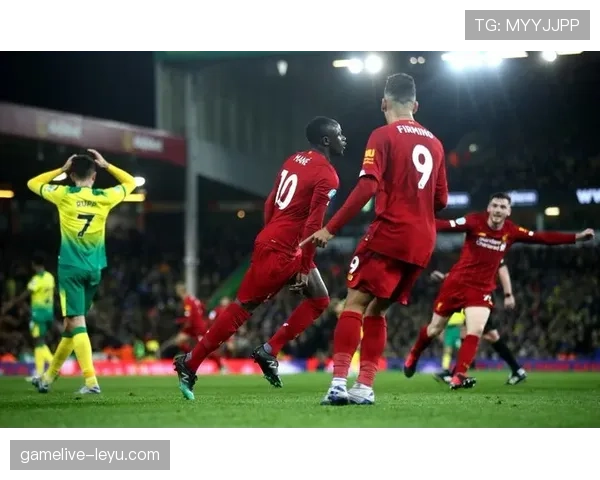 诺维奇球迷盼球队迅速反弹重振竞争力