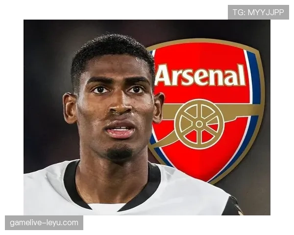 英超转会市场持续升温,豪门争抢新星引热议 英超转会市场持续升温,豪门争抢新星引热议