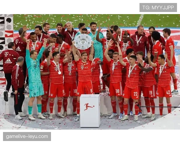 拜仁关键球员近期表现稳健，持续提升球队竞争力