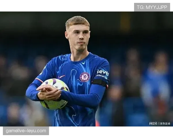 帕尔默的上限是否受限于战术角色与持续输出能力 帕尔默的上限是否受限于战术角色与持续输出能力